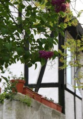 Ein Fachwerkhaus in der Oberen Altstadt von Minden