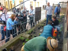 Presseleute fotografieren die ersten Pflanzaktivitäten. Ein WDR-Team filmt.