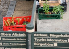 Die Eröffnung von «Speiseraum» 2 aus anderem Blickwinkel