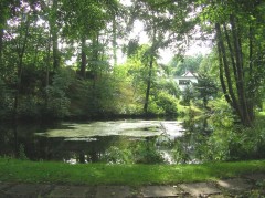 Teich in der Stadt