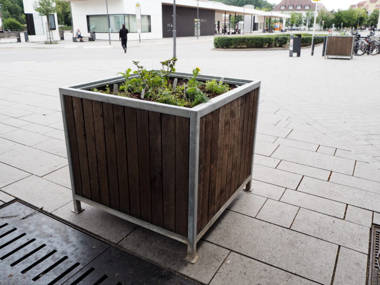 Fabian | Essbare Stadt Minden | Seite 3